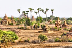 Beautiful Bright Shot of The Pagodas of Bagan