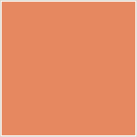 E68860 Hex Color Rgb 230 136 96 Red Orange Terracotta Effy Moom Free Coloring Picture wallpaper give a chance to color on the wall without getting in trouble! Fill the walls of your home or office with stress-relieving [effymoom.blogspot.com]