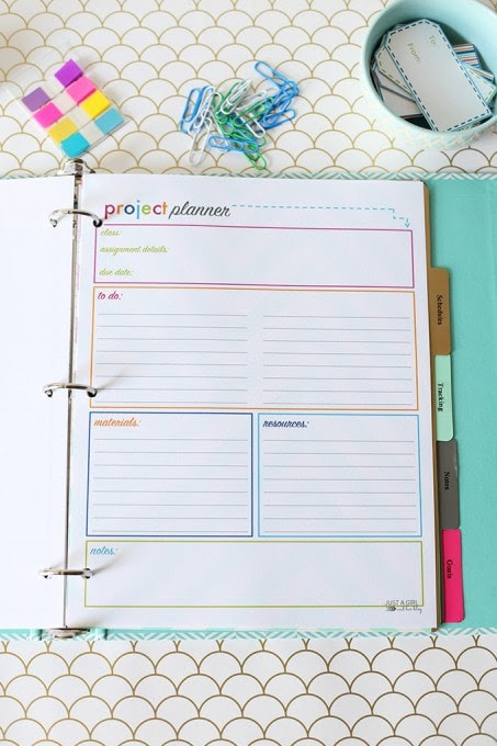 Project Planner 453x680