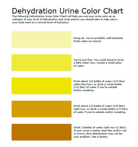  urine color chart 9 free download for pdf what is a false negative on