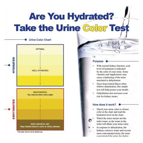  urine color chart 9 free download for pdf cloudy urine