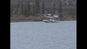 Yukon Moose & Grizzly Bear Hunt thumbnail