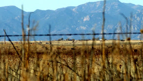 Western Whitetails thumbnail