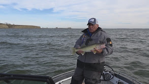 Sakakawea still shines! thumbnail