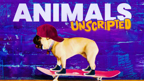 Animals Unscripted thumbnail