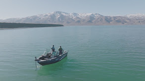 Pyramid Lake Winter Trout thumbnail