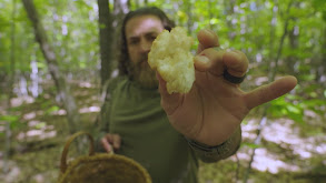 Archery Deer, Mackerel and Mushroom thumbnail