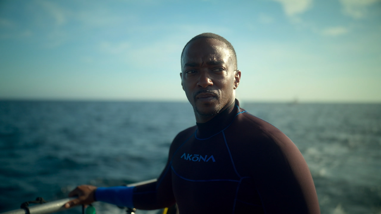 Shark Beach With Anthony Mackie: Gulf Coast