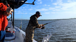 Fall Redfish at St. Simons Island thumbnail