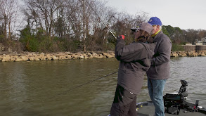 Wheeler Lake, Rogersville, AL featuring SPRO Lures thumbnail