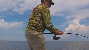 Massive Run Drum on the Neuse River thumbnail