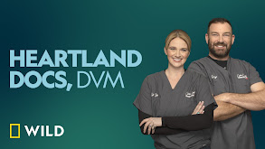 Heartland Docs, DVM thumbnail