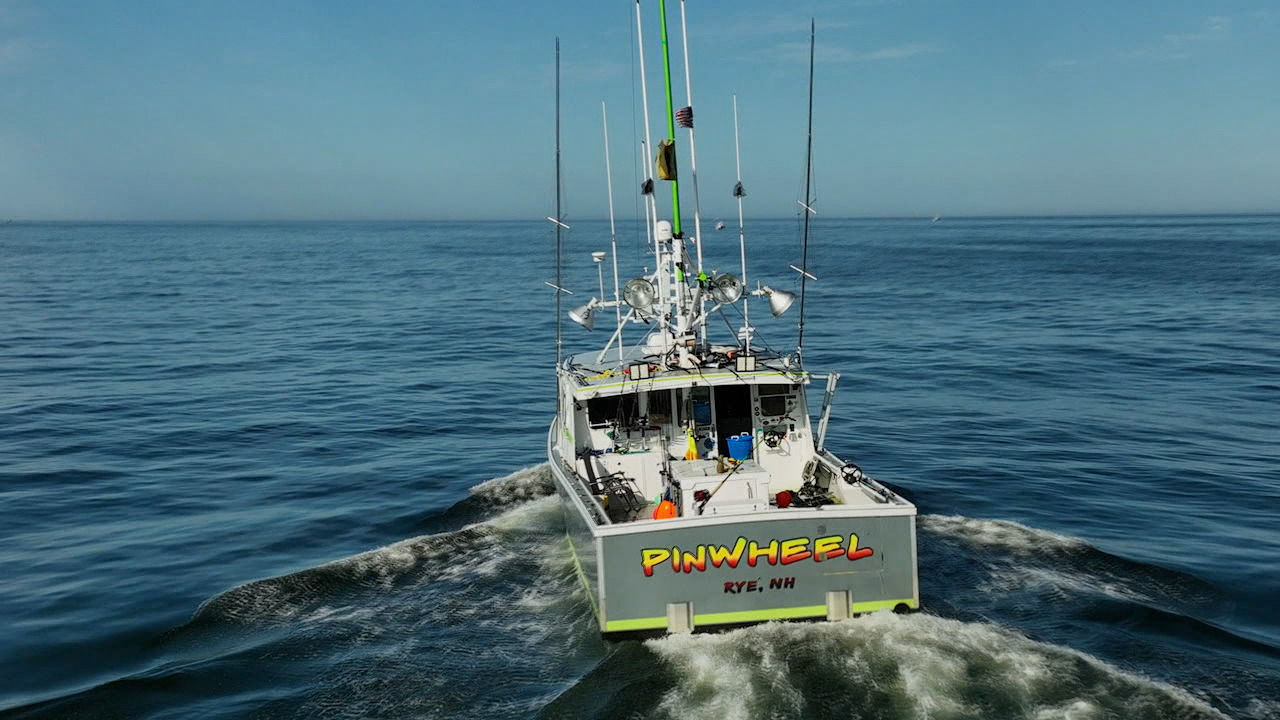 Watch Wicked Tuna live