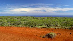 Research in Remote Locations thumbnail