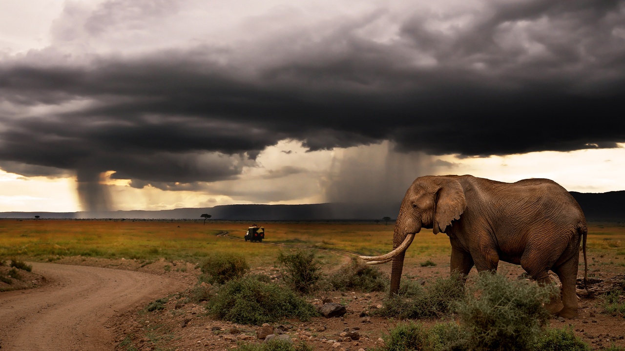 Watch Chasing the Rains live