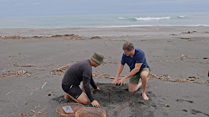 Harvesting Crabs in Taiwan thumbnail