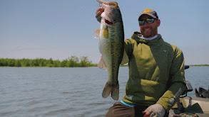 Top Monster Bass thumbnail