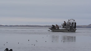 Salt Lake Teal thumbnail