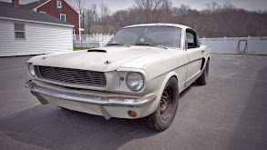 A 40 Year Secret Shelby GT thumbnail