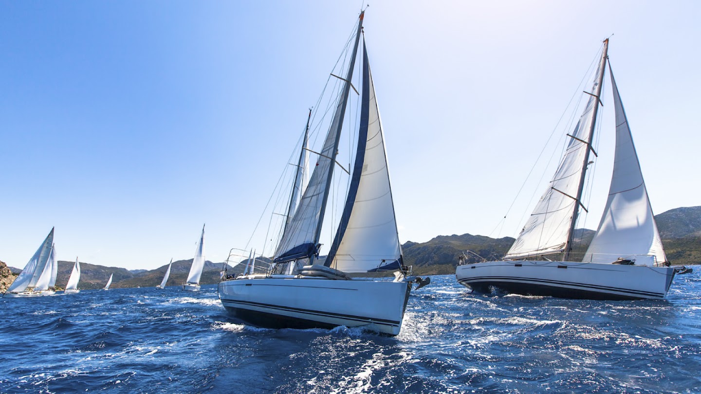 Watch America's Cup live