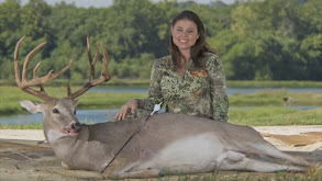 Kentucky Whitetails thumbnail