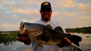 Kissimmee Largemouth thumbnail