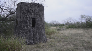 TX Whitetail Nature Blinds thumbnail