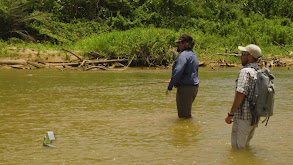 King of the River thumbnail