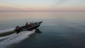 Trolling Post Spawn Lake Erie Walleye thumbnail