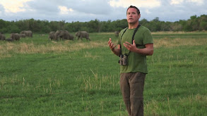 The Okavango Delta thumbnail