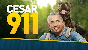 Cesar 911 thumbnail