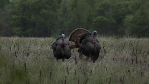 Louisiana Success thumbnail