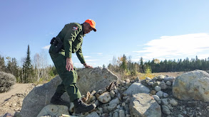 Warden vs. Wild: Animal Encounters thumbnail