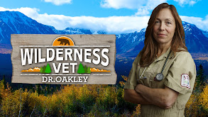 Wilderness Vet thumbnail