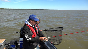 Lake Winnipeg Walleye thumbnail