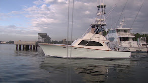 Guatemala to Miami Sailfishing thumbnail