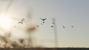 Flint Hills Holiday thumbnail