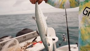 Winter Mixed Bag African Pompano, Mutton Snapper, Yellowtail Snapper thumbnail