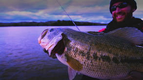 Monster Bass of Tennessee thumbnail