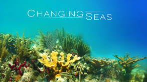 Changing Seas thumbnail