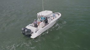 Blacktip 18, Seaborn FX22 Bay Sport, Release 295 Sport thumbnail