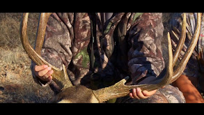 The Quest for a 100-Inch Coues Deer Buck: Part 2 thumbnail