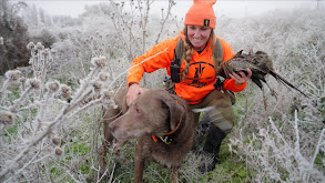 Oregon Pheasant and Quail thumbnail