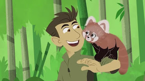 Red Panda Rescue thumbnail