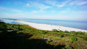 A Virginia Family Looks for Their Dream Beach House thumbnail