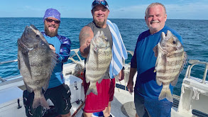 Unearthing Megaladon Teeth in North Carolina thumbnail