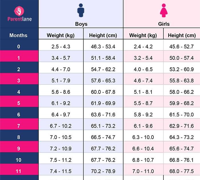 5 Month Old Baby Average Weight And Height - Baby Viewer