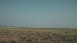 New Mexico Antelope, or Are the Pronghorn? thumbnail