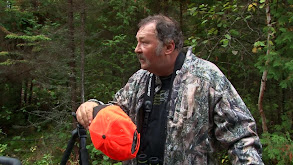 Roger Shoots A Giant Maine Moose thumbnail