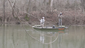 Virginia Muskie thumbnail